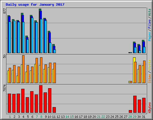 Daily usage for January 2017