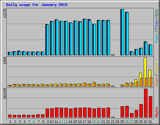 Daily usage for January 2019