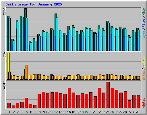 Daily usage for January 2025