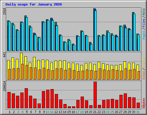Daily usage for January 2026