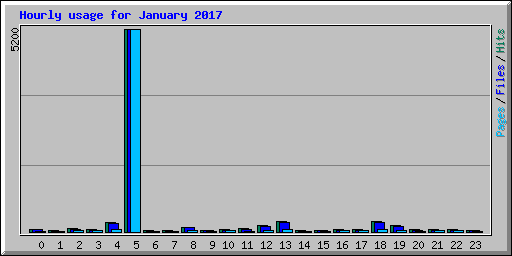 Hourly usage for January 2017