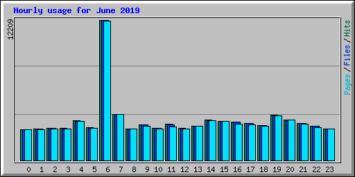 Hourly usage for June 2019