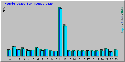 Hourly usage for August 2020