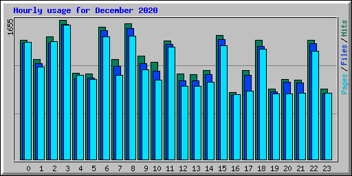 Hourly usage for December 2020