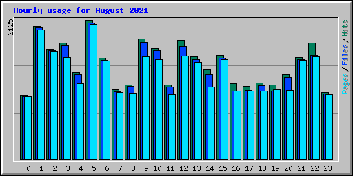 Hourly usage for August 2021