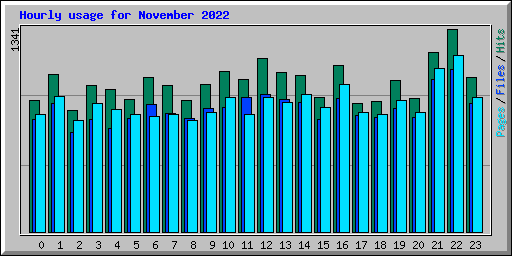 Hourly usage for November 2022