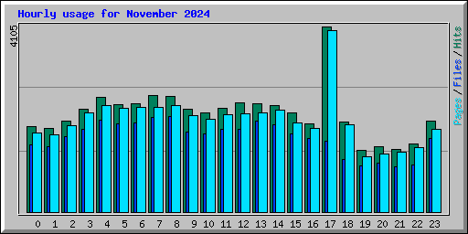 Hourly usage for November 2024