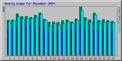 Hourly usage for December 2024