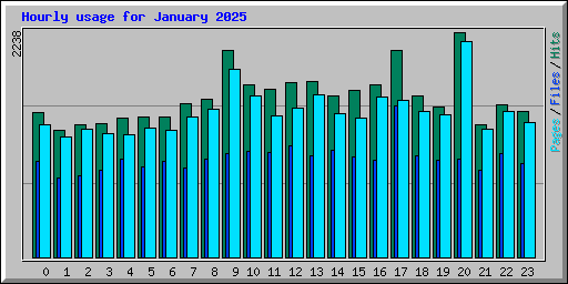 Hourly usage for January 2025
