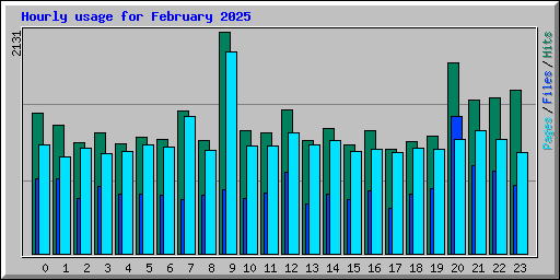 Hourly usage for February 2025