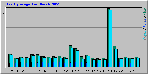 Hourly usage for March 2025