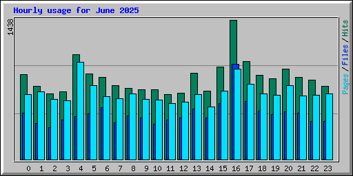 Hourly usage for June 2025