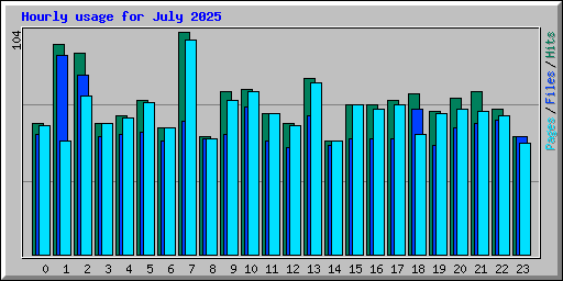 Hourly usage for July 2025
