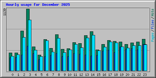 Hourly usage for December 2025