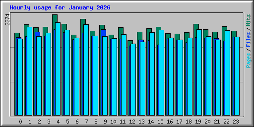 Hourly usage for January 2026